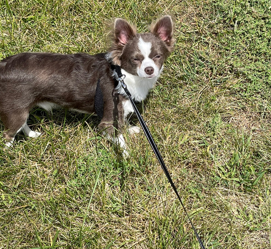 My 9 month old baby boy Asher