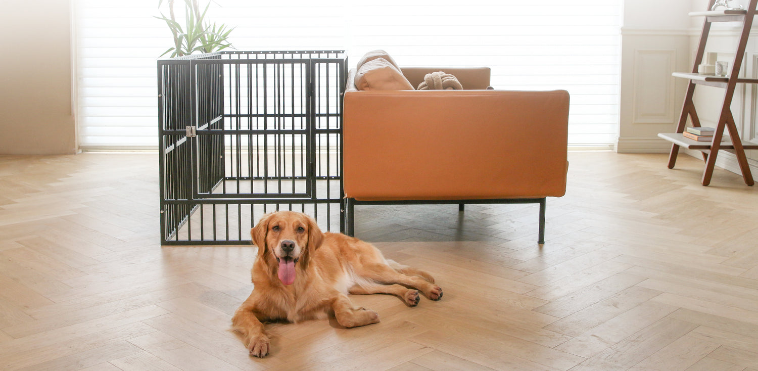 RYPetmia Dog Playpen Dog Exercise Pen Heavy Duty Dog Fence Portable Metal Fence Folding Pet Playpen with Door/Gate for Large Small Animals Outdoor Indoor Exercise Playpen