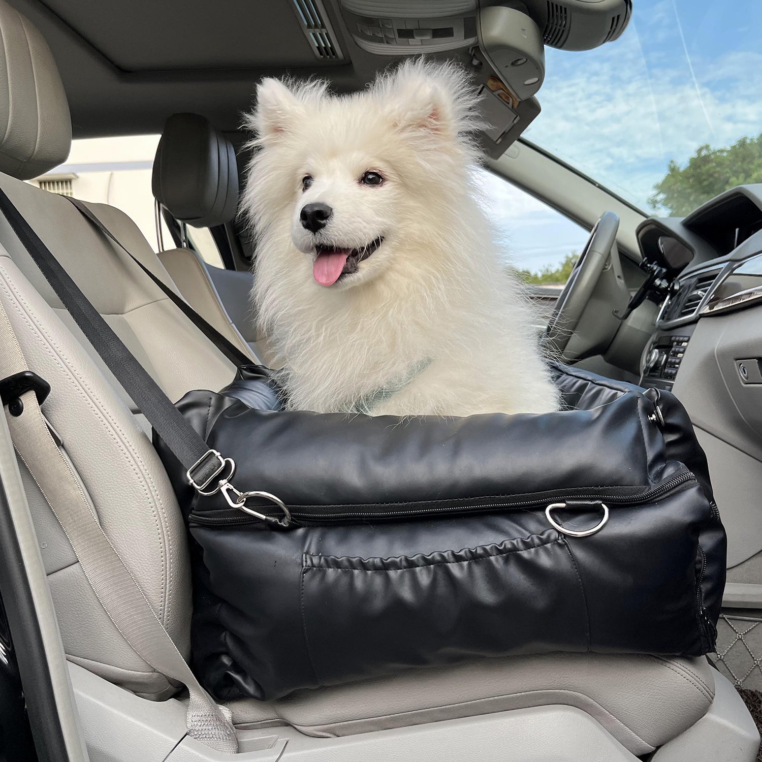 RYPetmia Dog booster