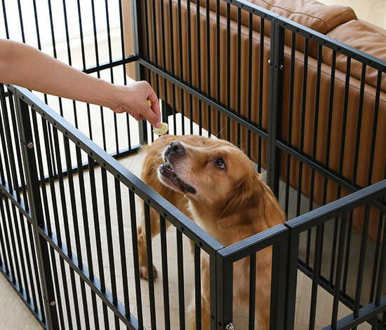 RYPetmia Dog Playpen Dog Exercise Pen Heavy Duty Dog Fence Portable Metal Fence Folding Pet Playpen with Door/Gate for Large Small Animals Outdoor Indoor Exercise Playpen