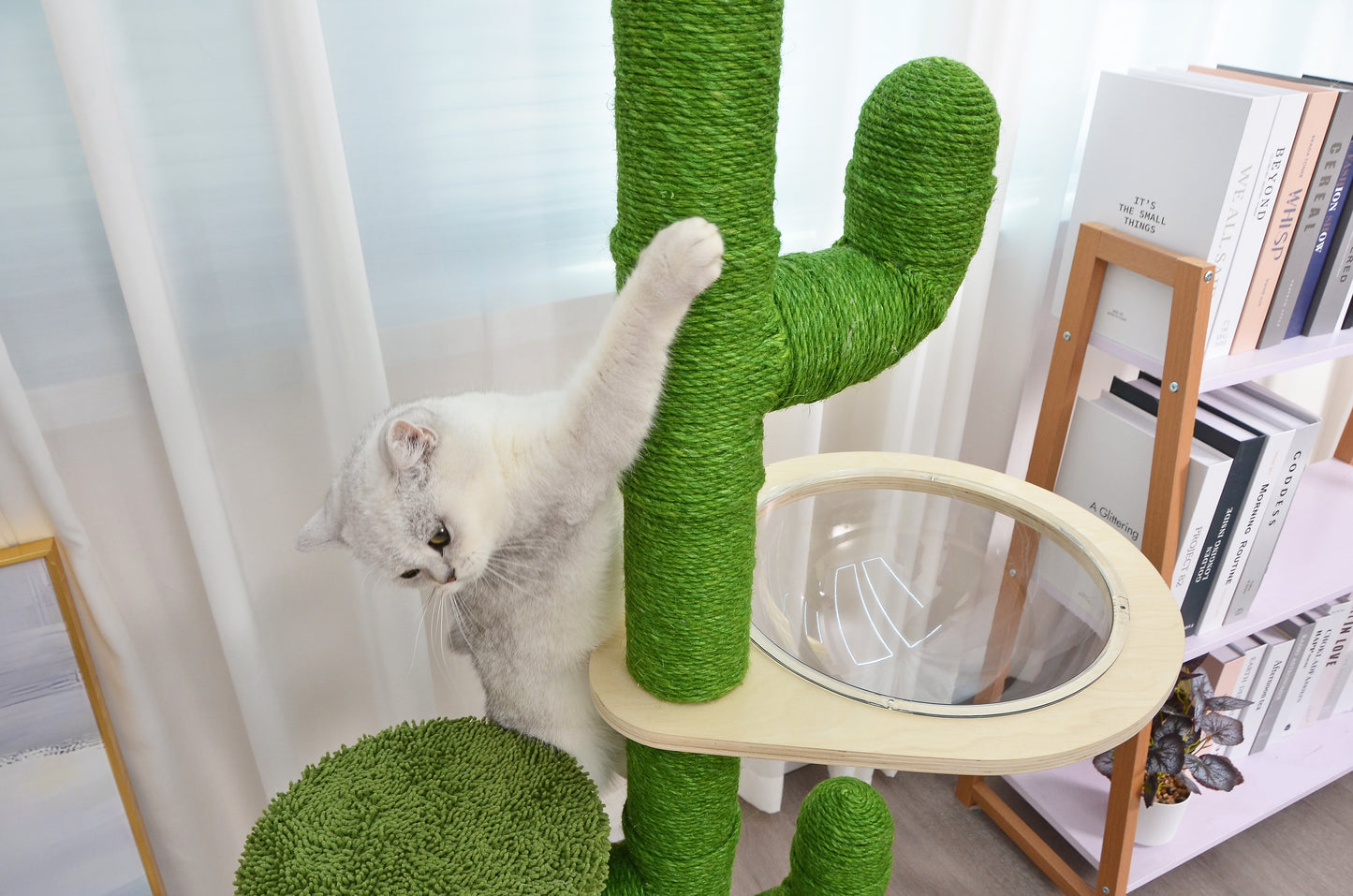 RYPetmia Cactus Cat Tree