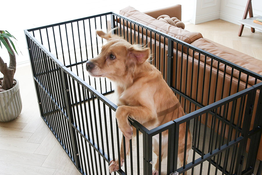 RYPetmia Dog Playpen has a rubber gasket, that can prevent the fence from slipping when jumping, and protect your floor from scratches.