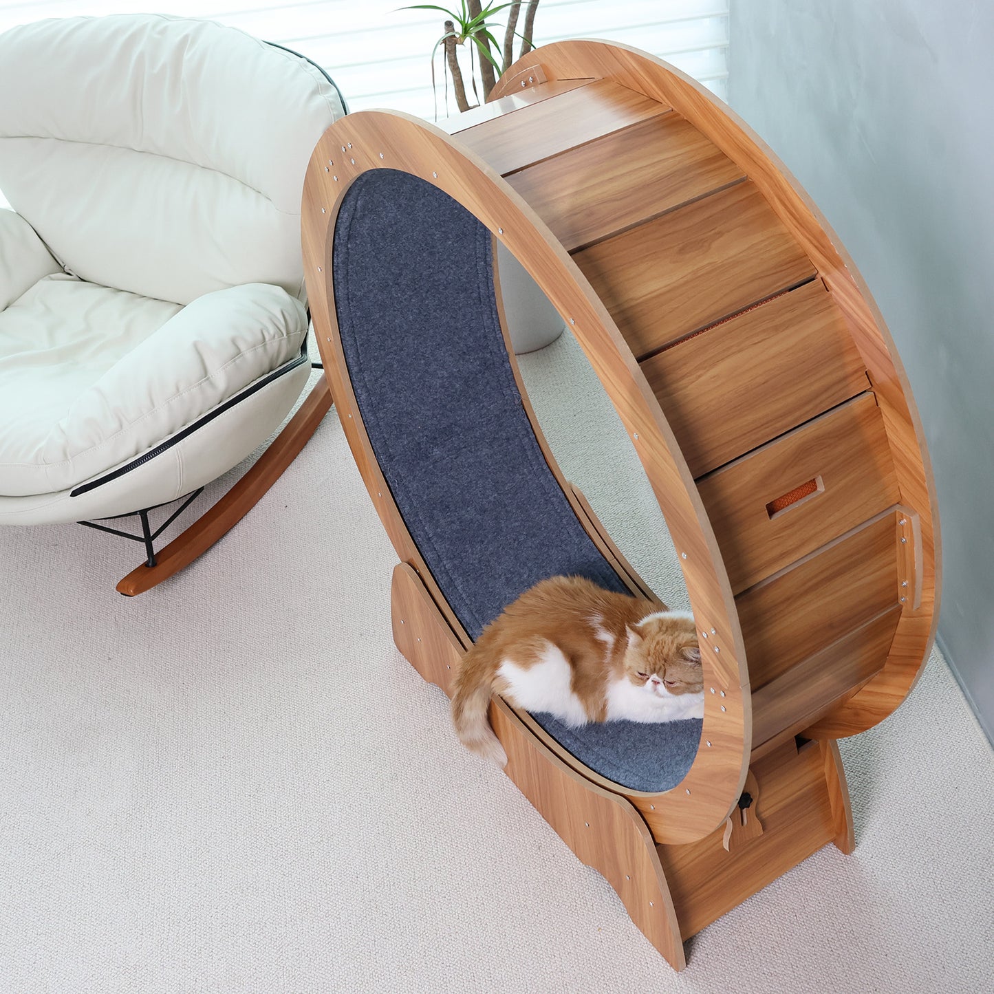 RYPetmia Cat Exercise Wheel