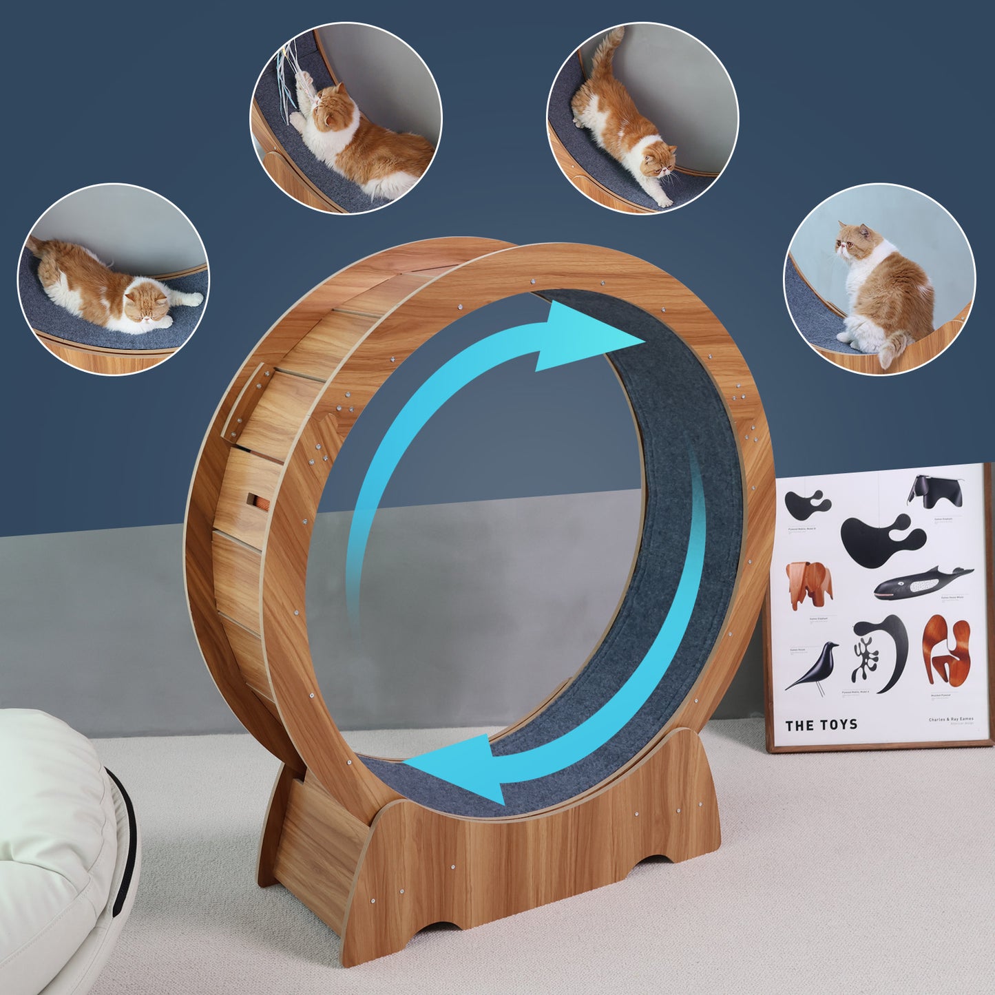 RYPetmia Cat Exercise Wheel