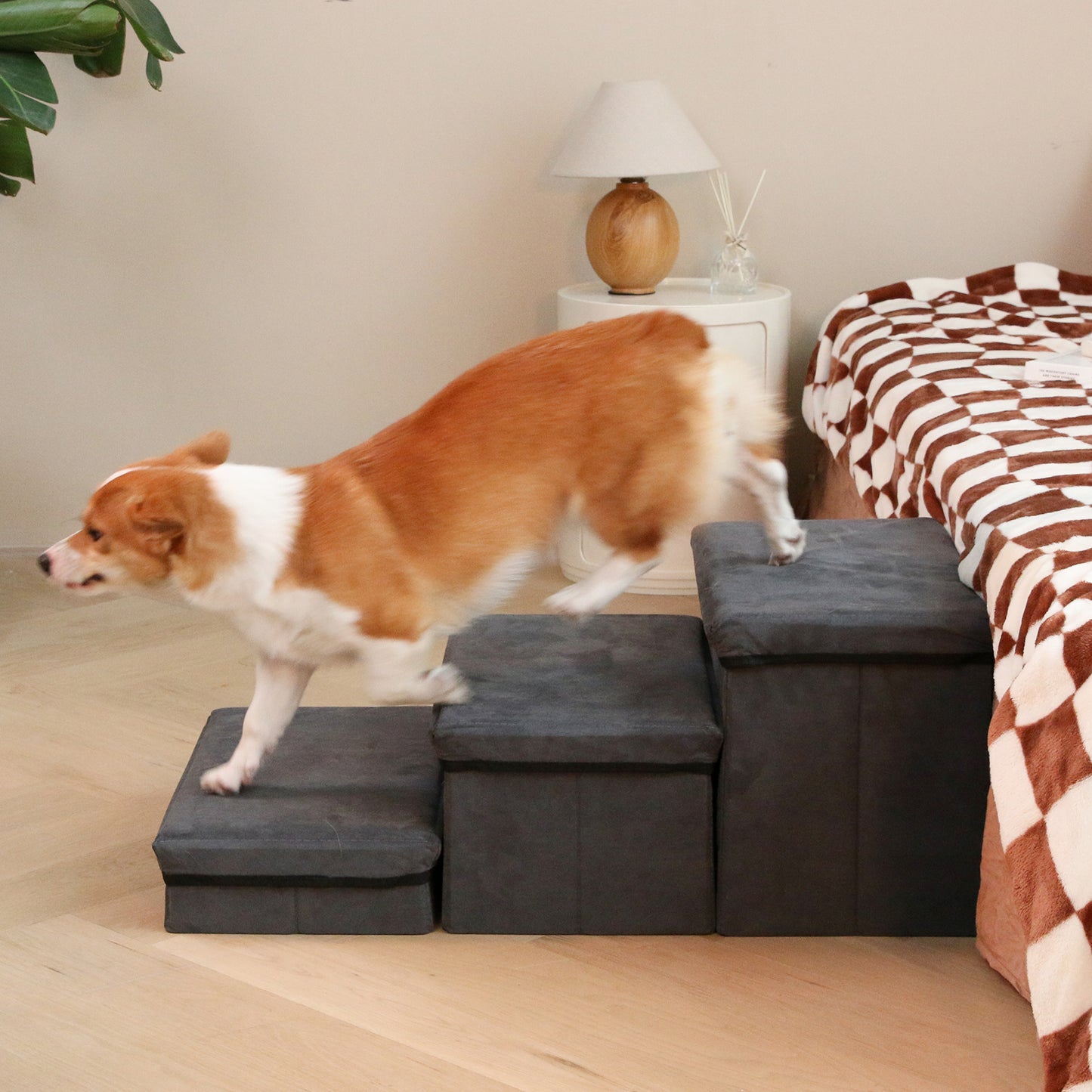 RYPetmia Foldable Pet Storage Stair & Steps