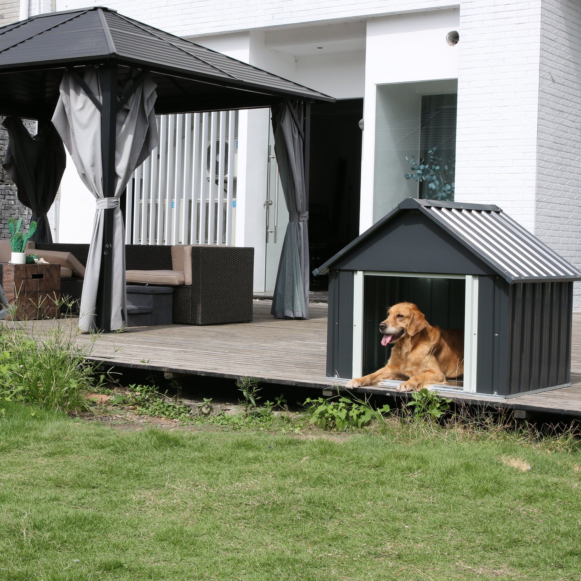 RYPetmia steel dog kennel