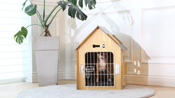 The Basics of Dog Cage Training &How to Crate Training