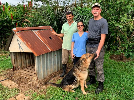 Lucky Dog Kennel