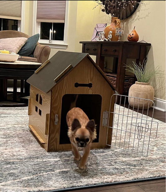 Loving my new dog house from RYPetmia.