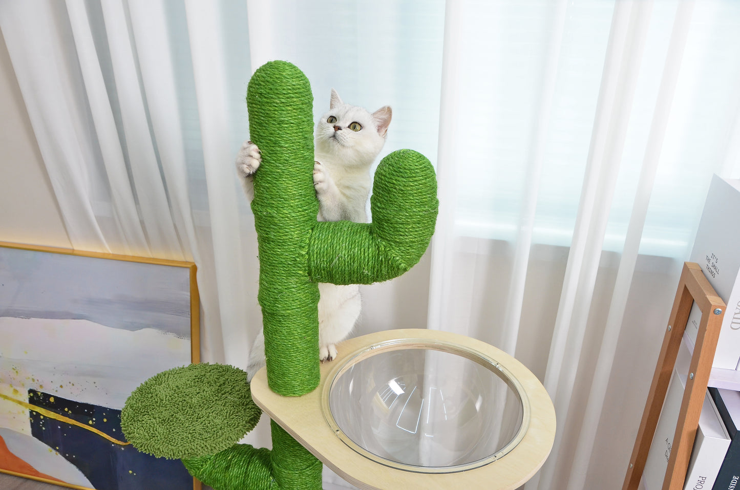 RYPetmia Cactus Cat Tree