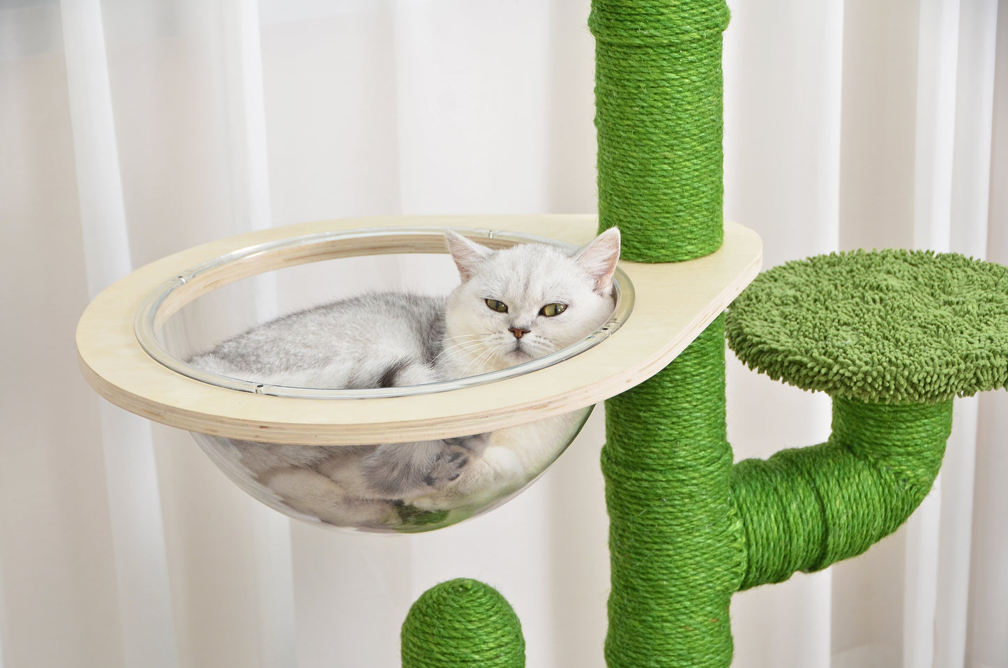 RYPetmia Cactus Cat Tree