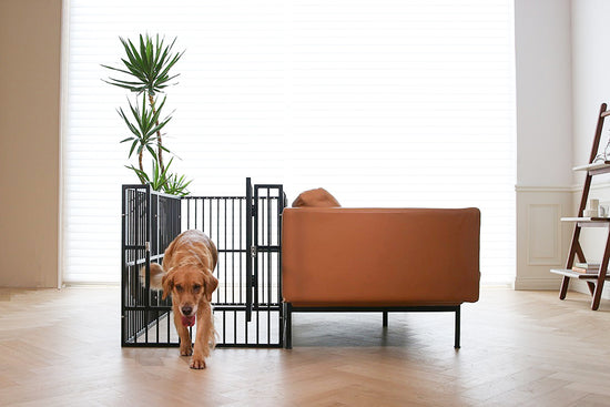 RYPetmia Dog Playpen Convenient for Pets to Enter and Exit The step door of the pet playpen allows for comfortably walking through, Fence doors won't hurt your pet. A dog fence with an upgraded lock design prevents the dog from opening and escaping