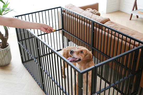 RYPetmia Pet playpen works great as an exercise area for non-climbing small animals including Rabbits, Ducks, Turtles & Guinea Pigs. Pet freely enjoys exercising & playing In the pet playpen, importantly, the owner does not need to gaze at them all the ti