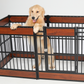 RYPetmia wooden dog pen