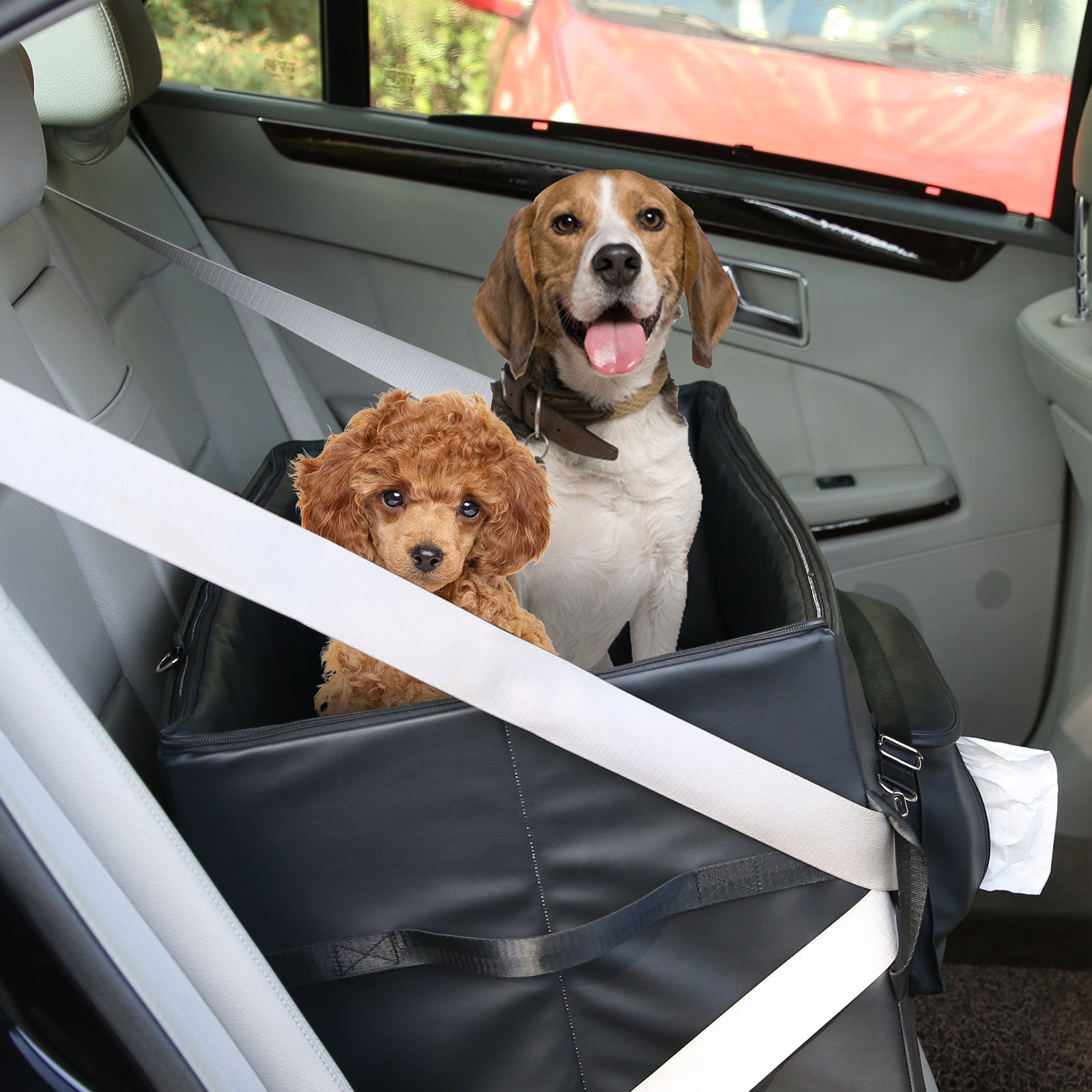 Car seat for 2024 2 small dogs