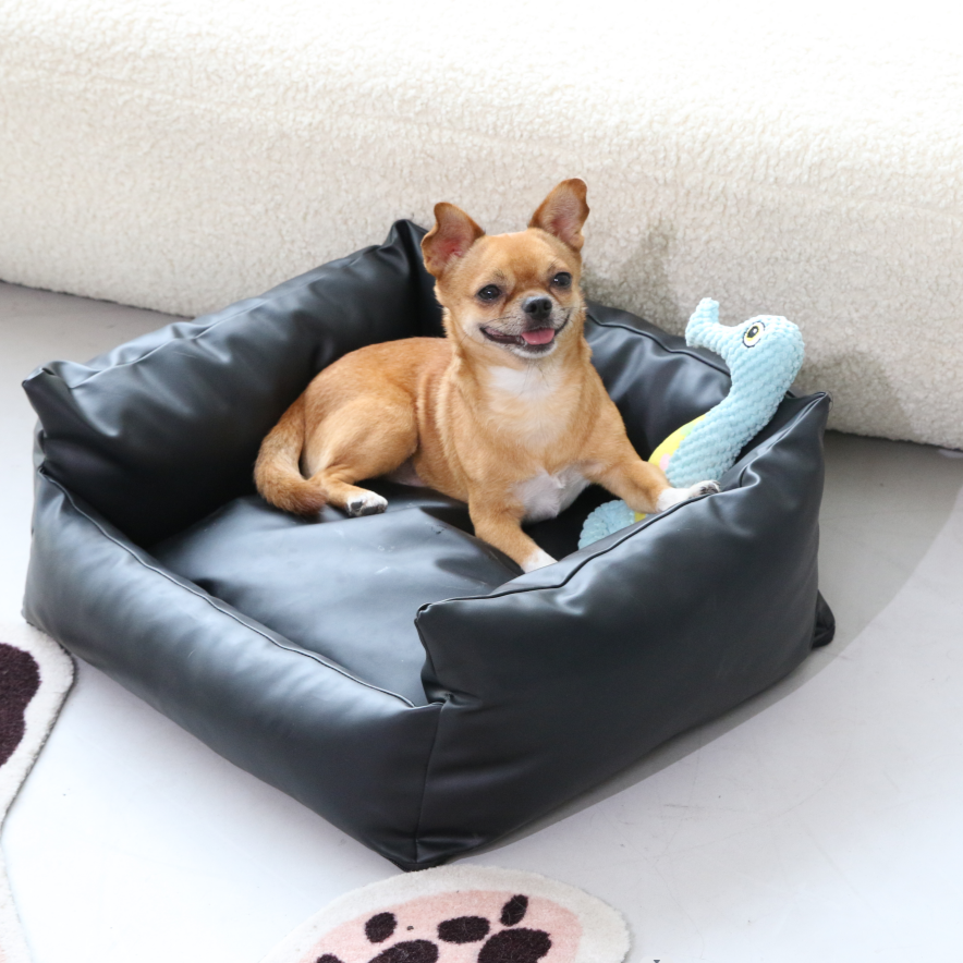 RYPetmia Dog Bed for Small Dogs Waterproof - Medium Bed for Indoor
