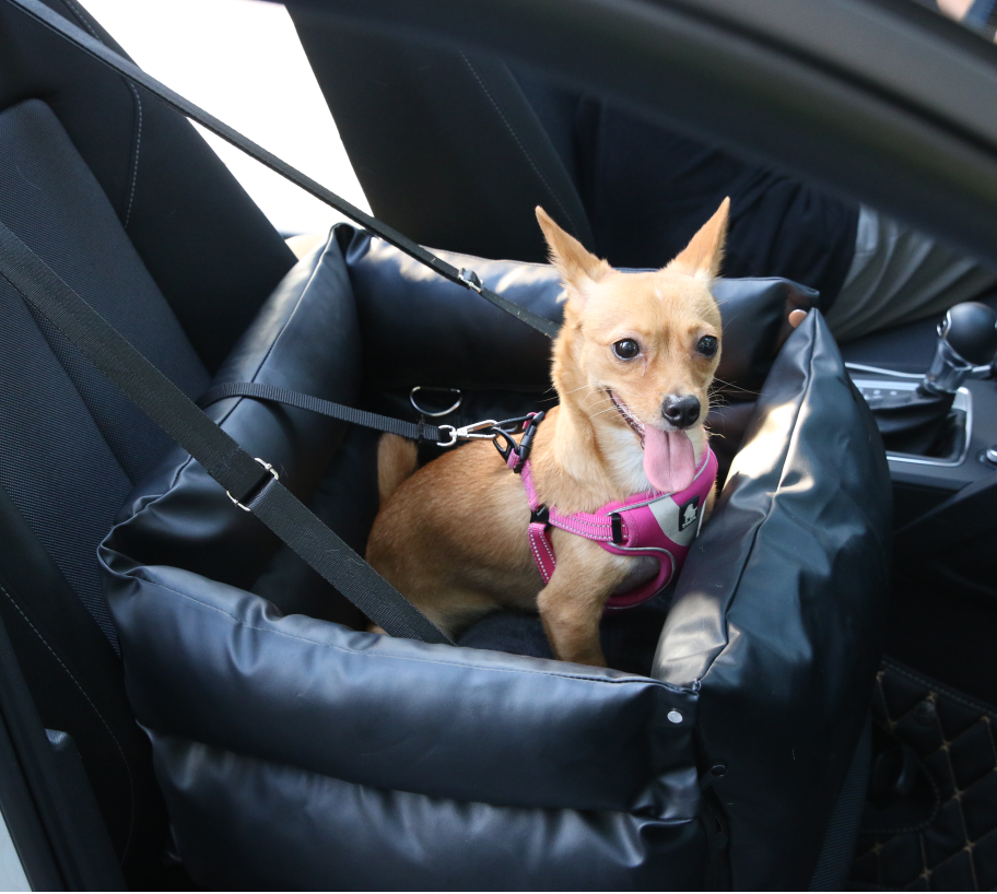 RYPetmia Dog Car Seat, Dog Booster Seat with Clip-On Safety Leash