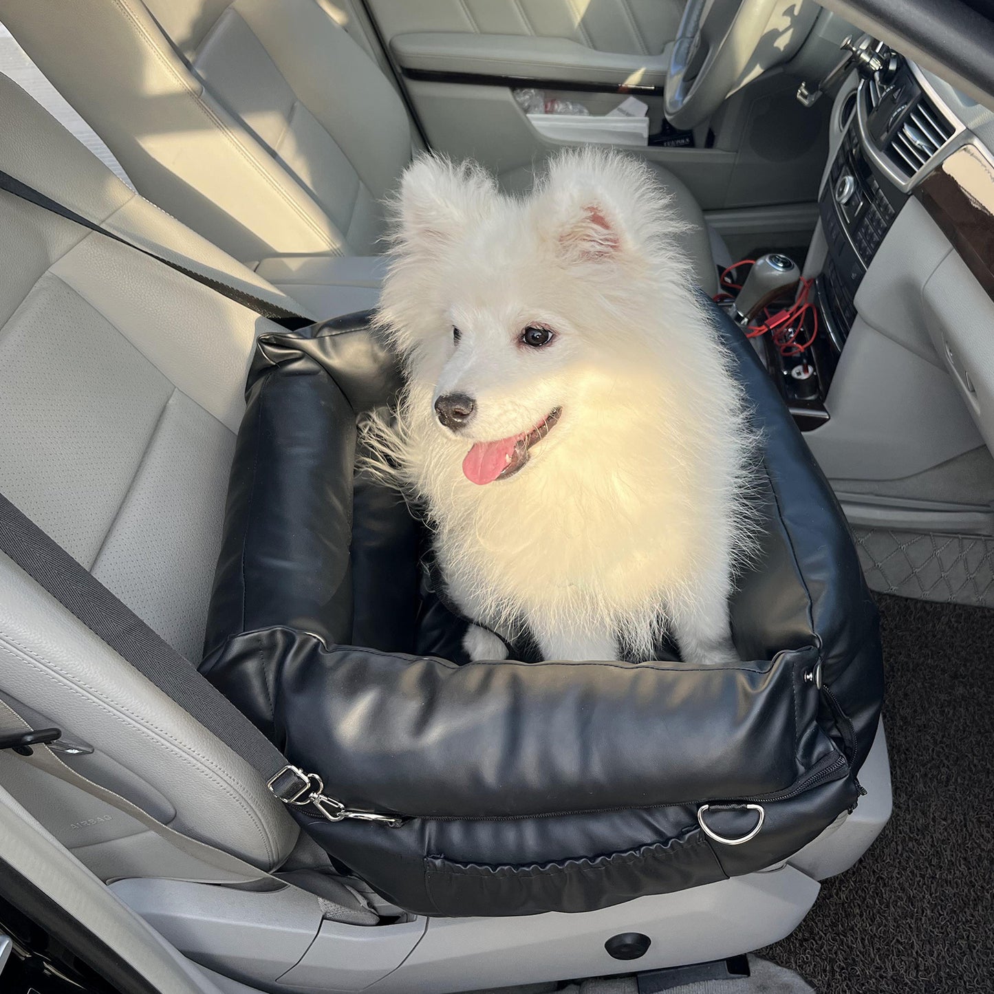 RYPetmia Dog Car Seat, Dog Booster Seat with Clip-On Safety Leash