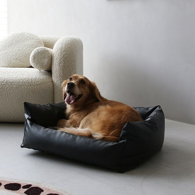 Dog bed for outlet two medium dogs